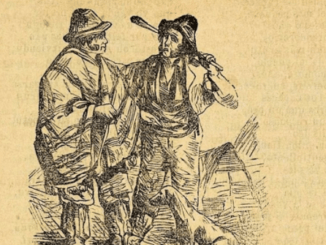 Refranes, dichos y provervios