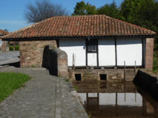 Artes escénicas, música y talleres esta semana
