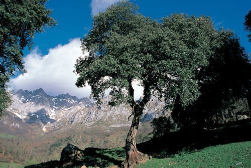 Ahora Cantabria Liébana